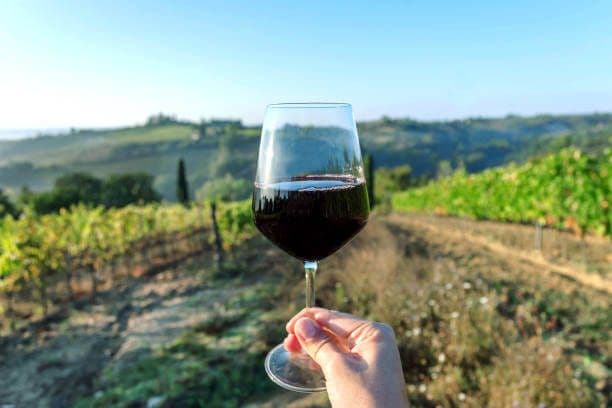 Winery Visit and Wine Tasting in Ronda