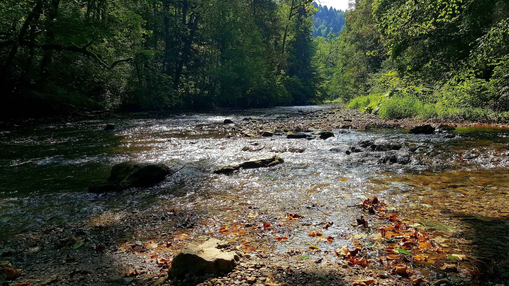 Wutach Gorge