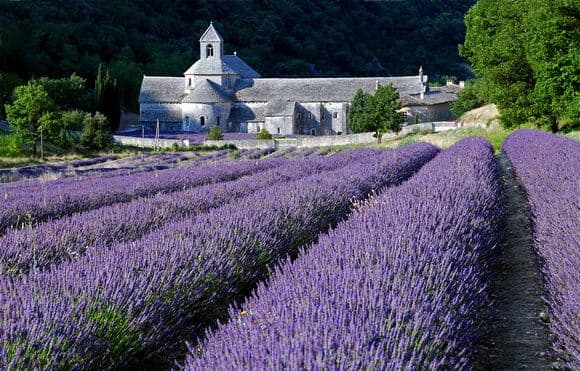 Wander Through Ochre Wonderlands and Lavender Fields
