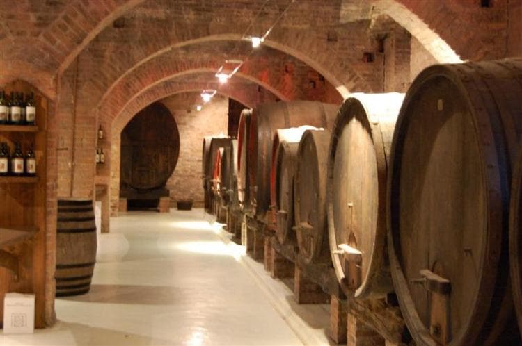 Wine and culinary experiences