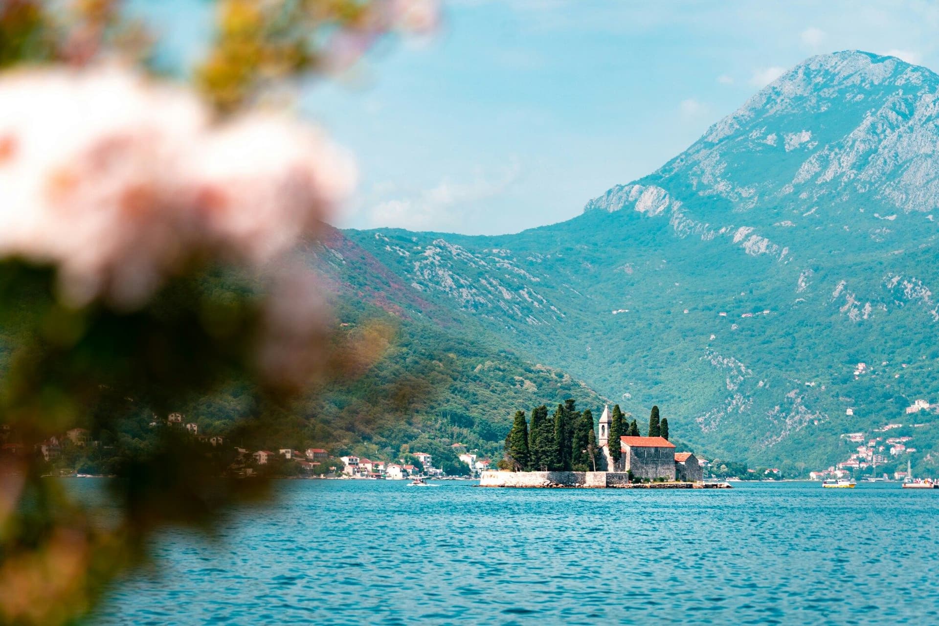 Experience the Adriatic Coast