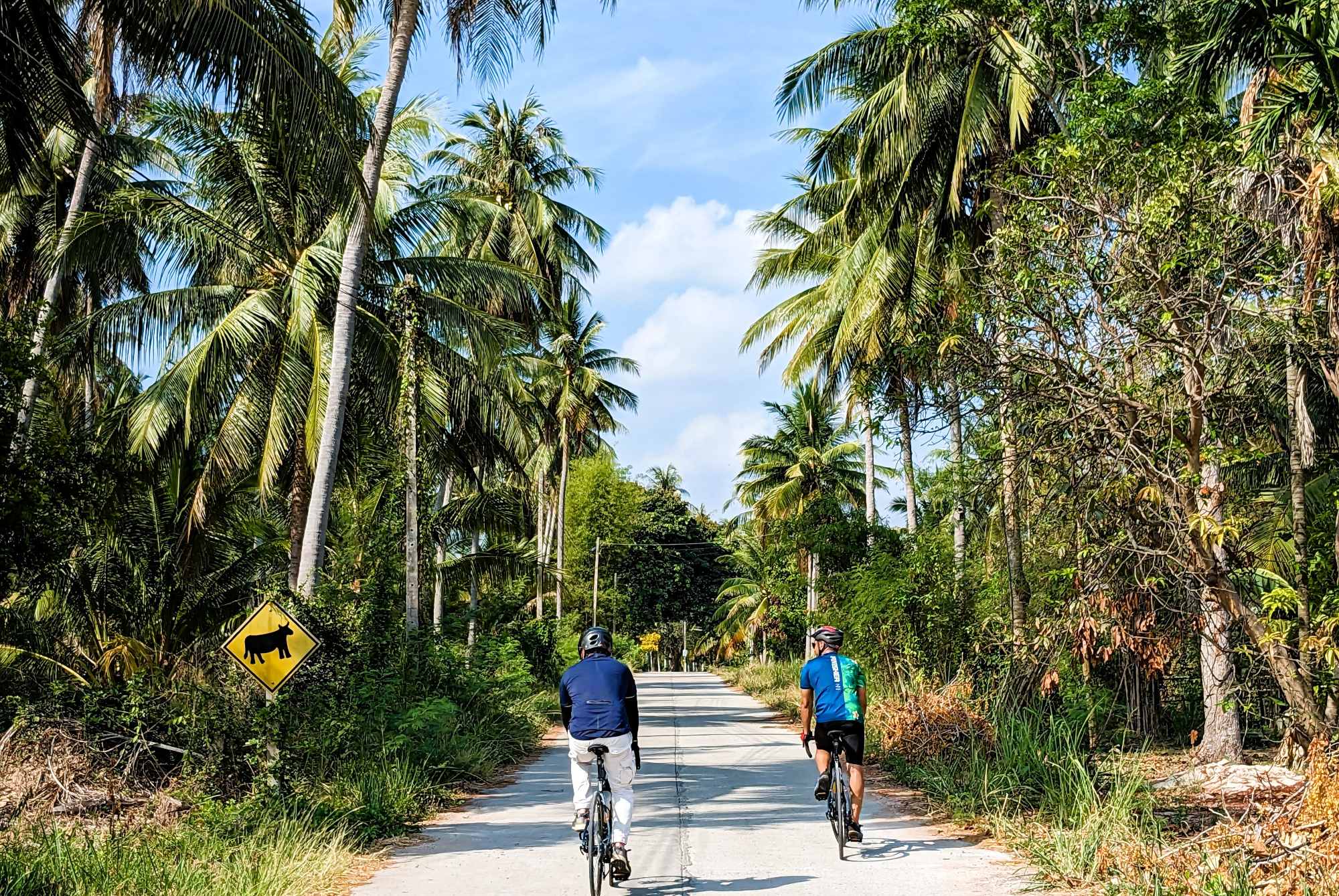 Van Supported Bangkok to Phuket Bike Tour