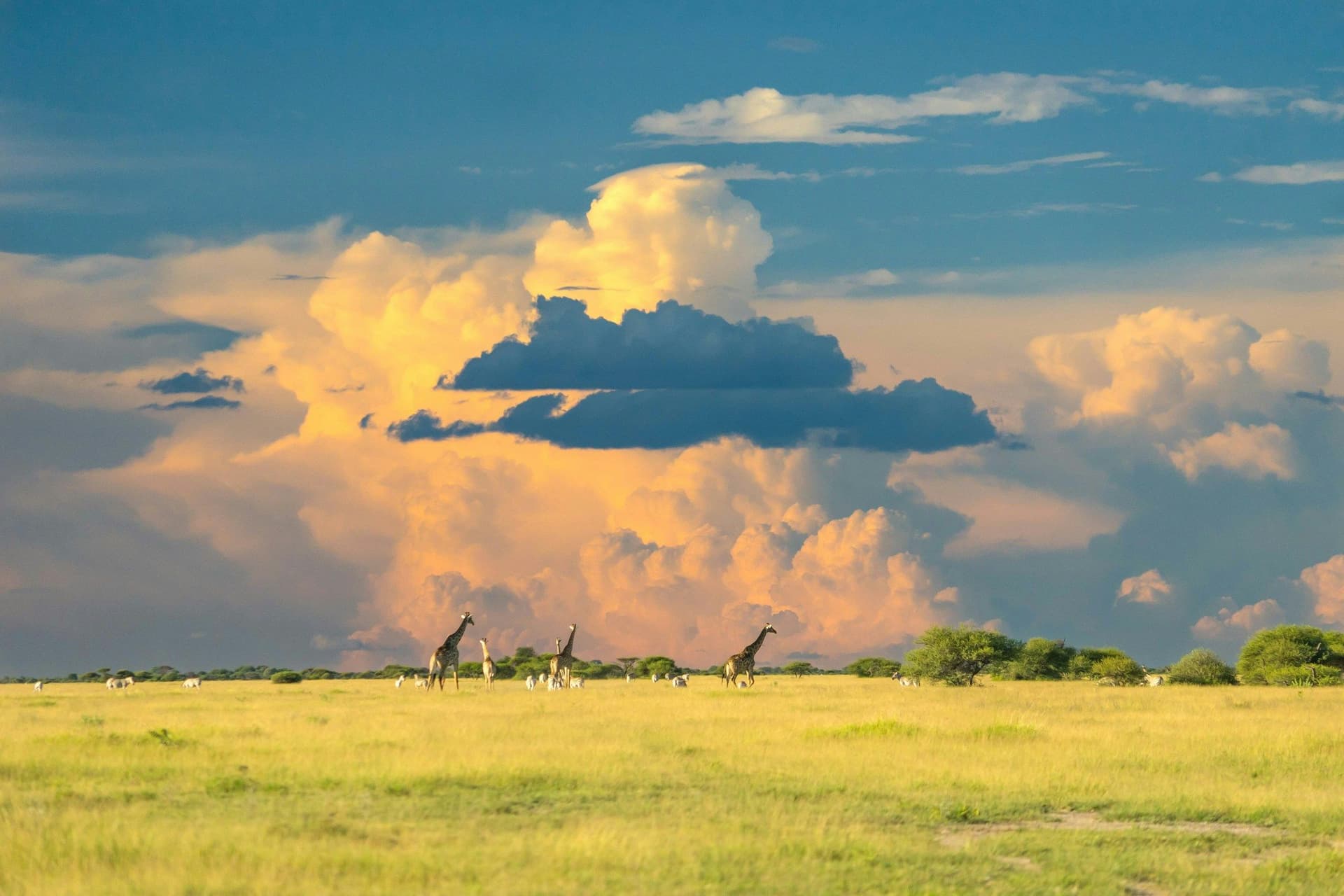 Boutique bike tours in Botswana