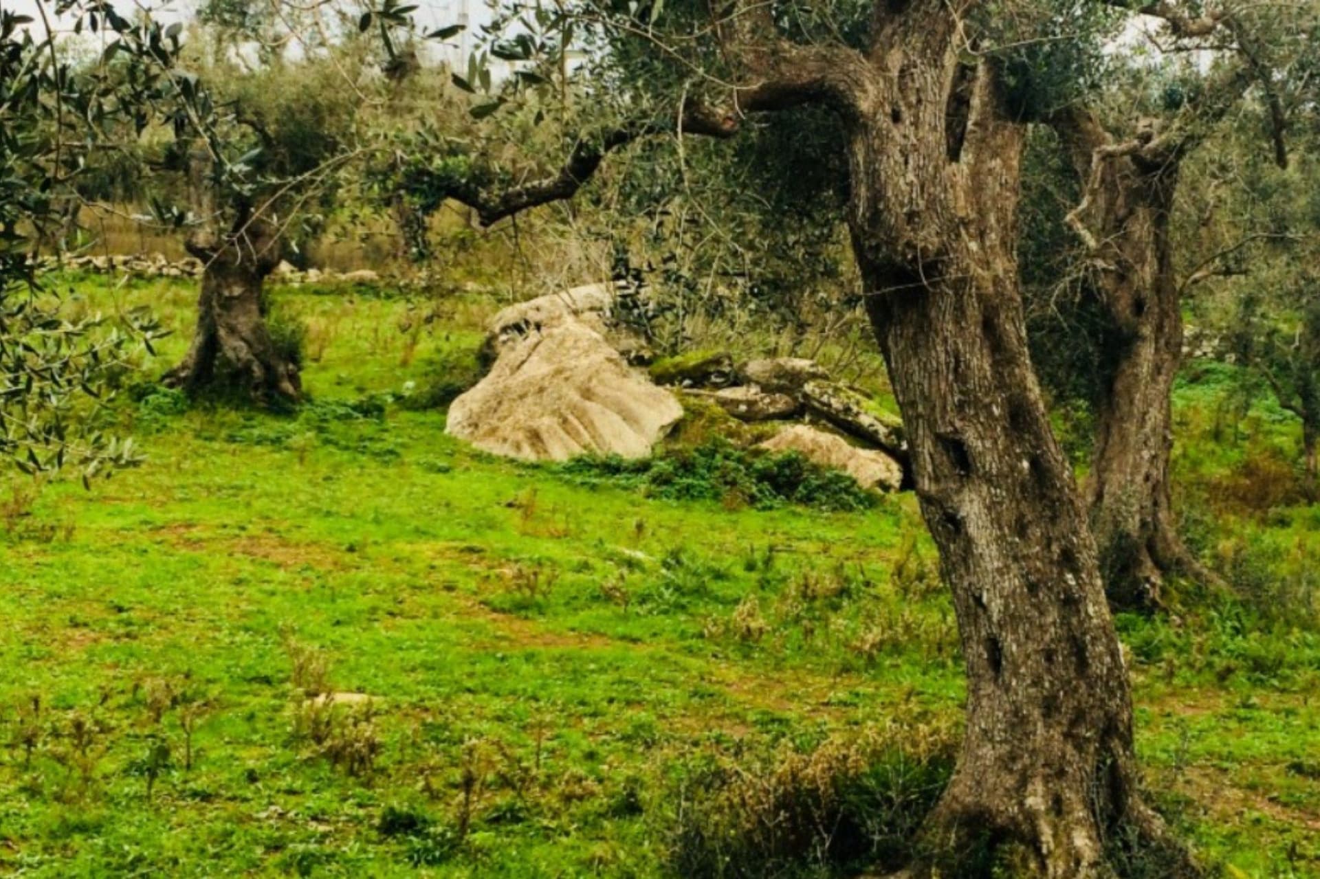 Itinerary Image