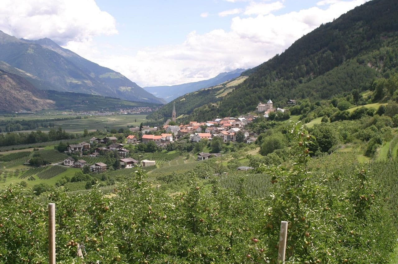 Prosecco Wine Region Discovery