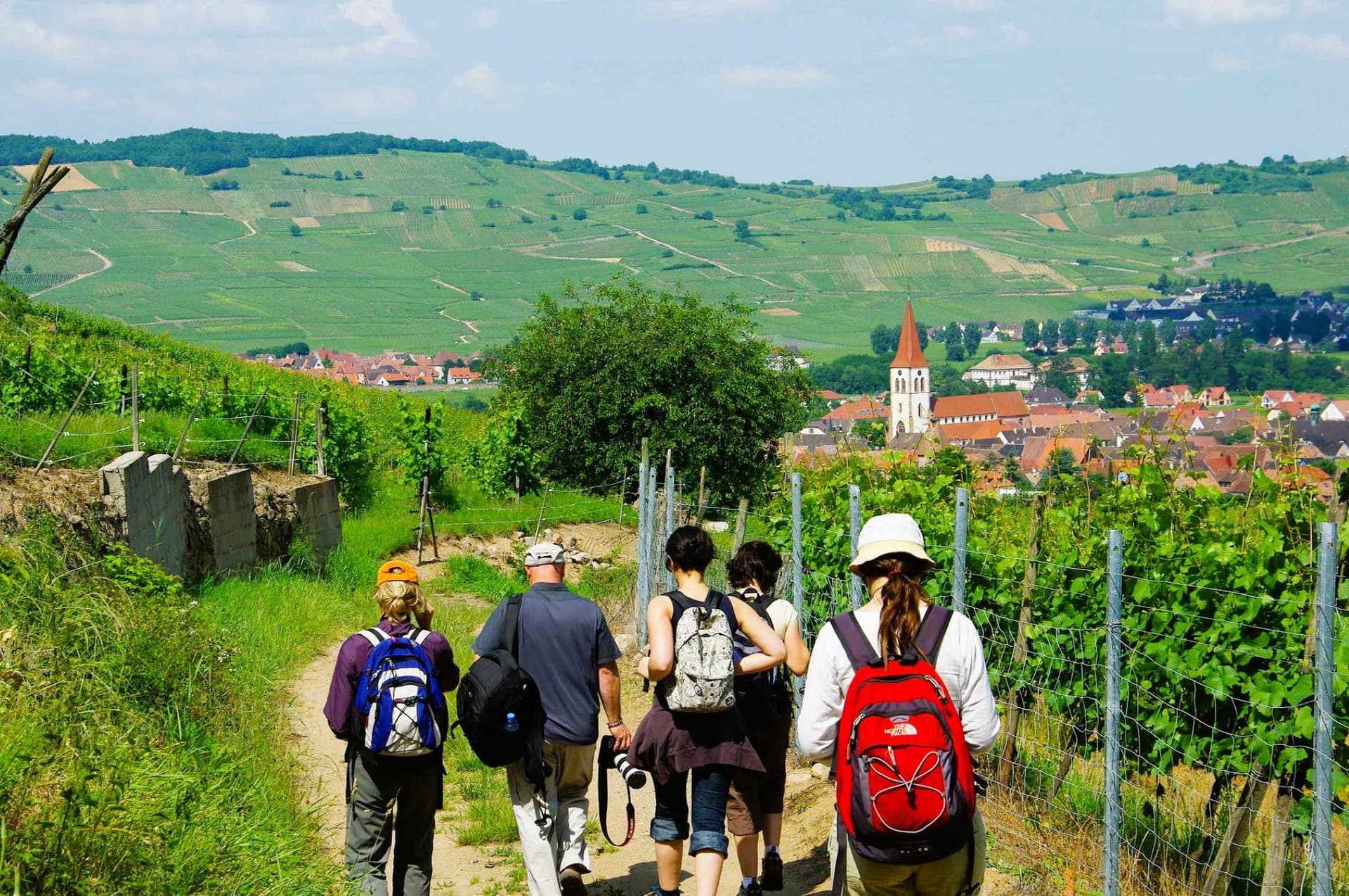 Picture for The Complete Guide to Hiking Alsace article