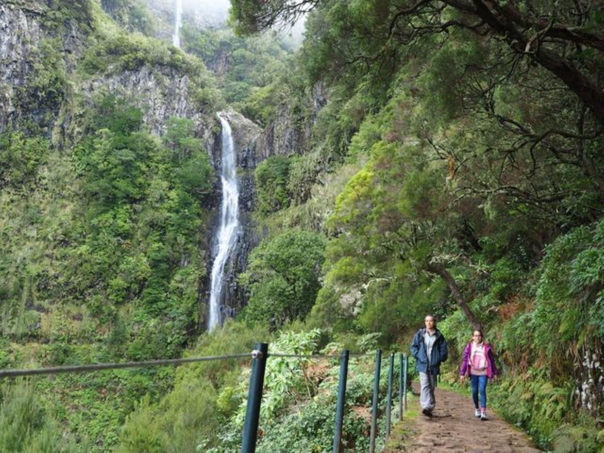 Levada das 25 Fontes