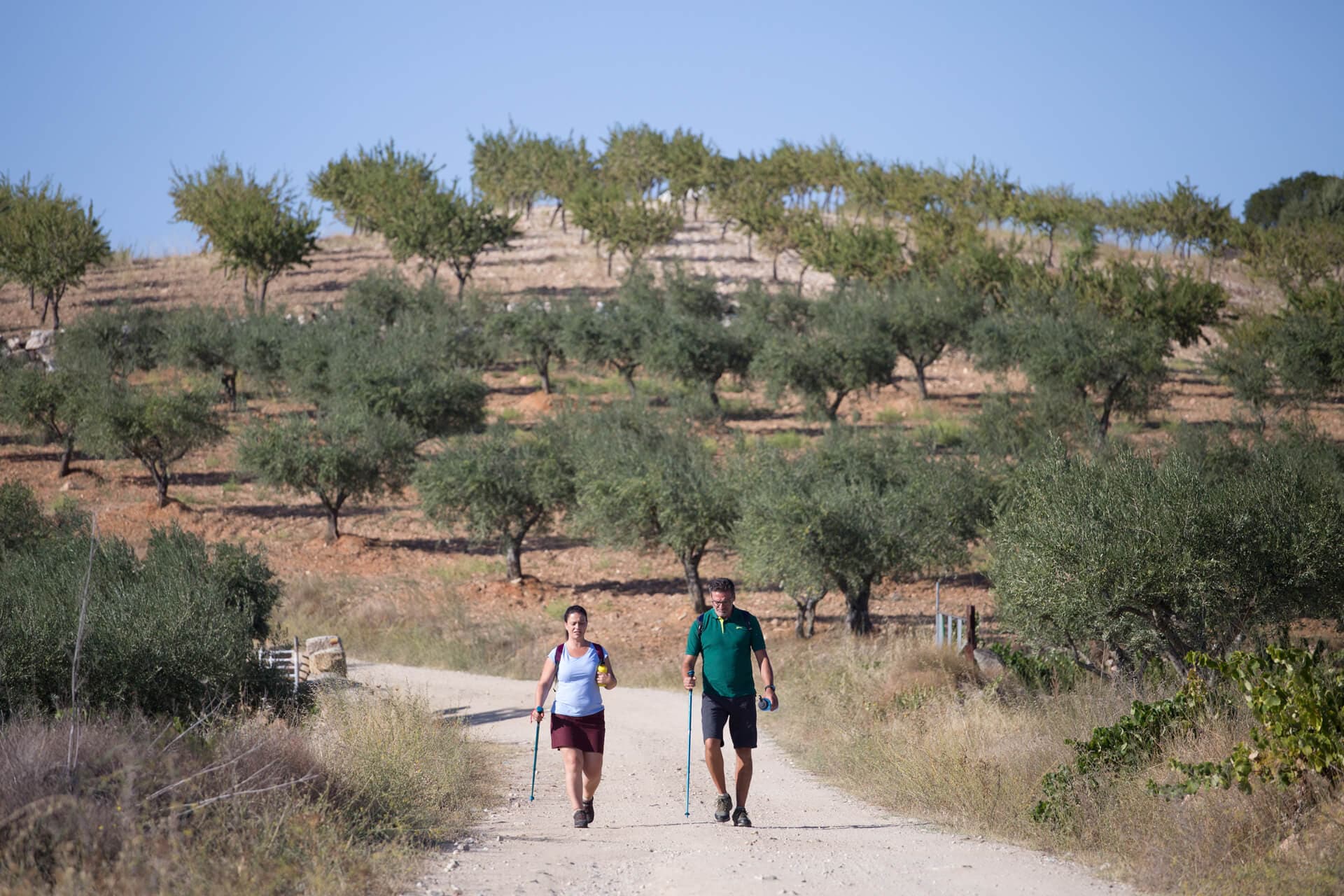 Picture for The Complete Guide to Hiking the Douro Valley article