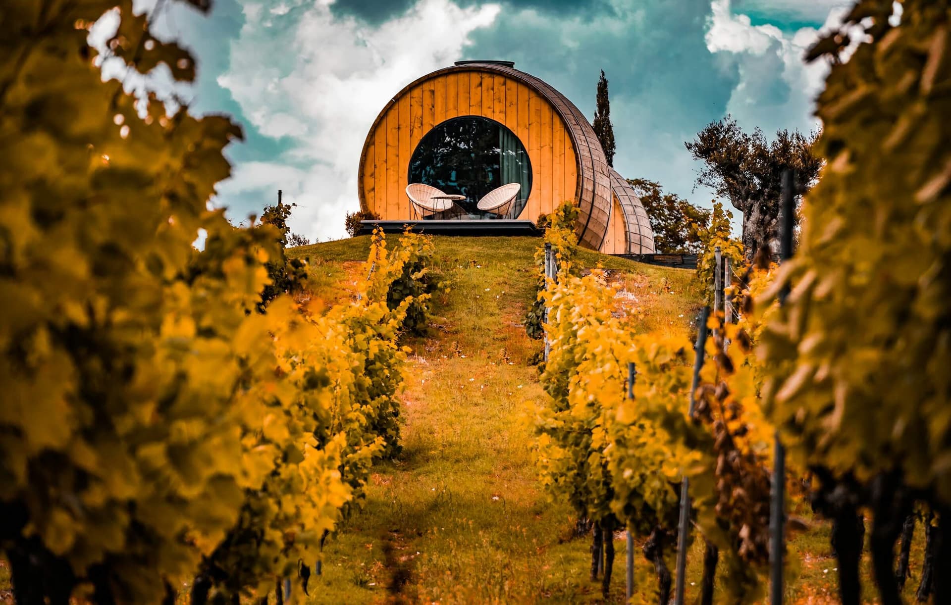 Boutique bike tours in Douro Valley