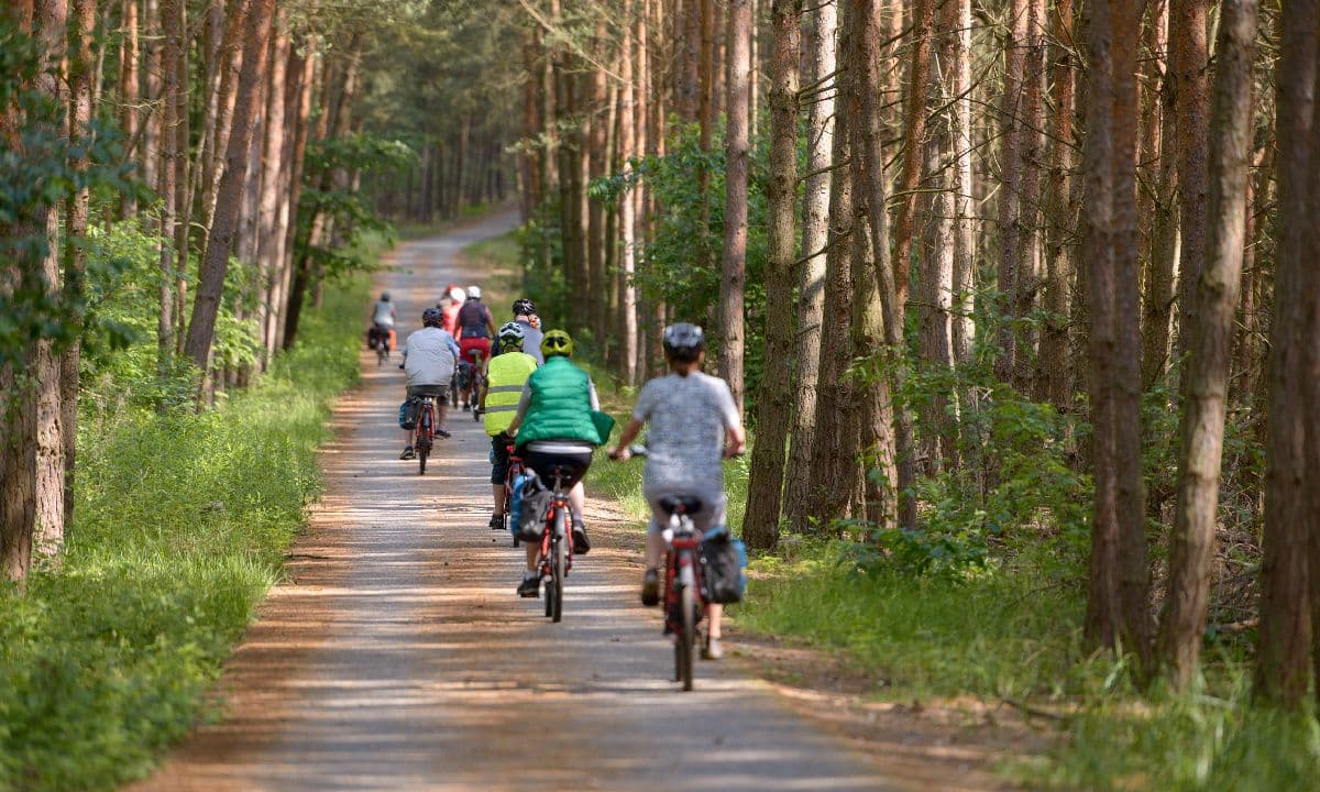 Dutch Hanseatic Cities Amsterdam Loop Bike and Boat Tour