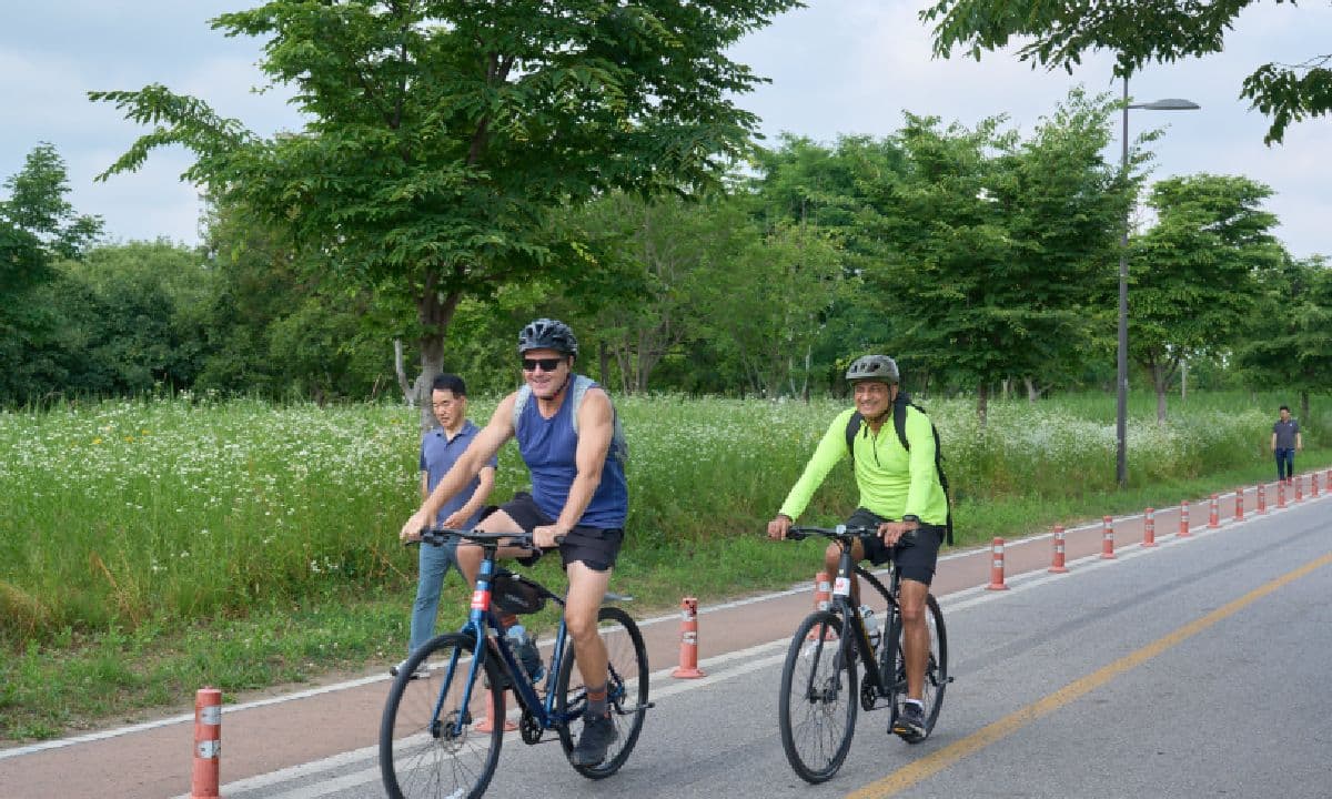 Seoul to Busan Four Rivers Bike Tour