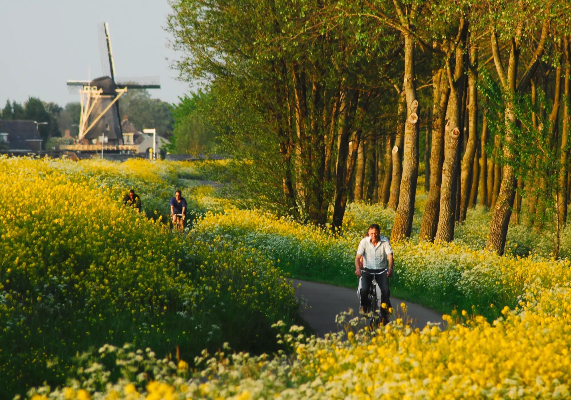Boutique bike tours in Netherlands