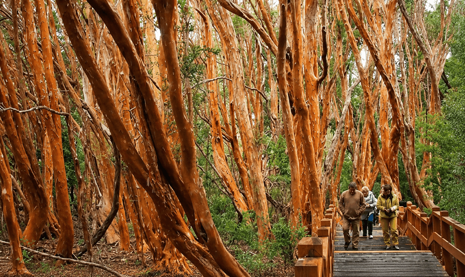 Los Arrayanes National Park and Victoria Island