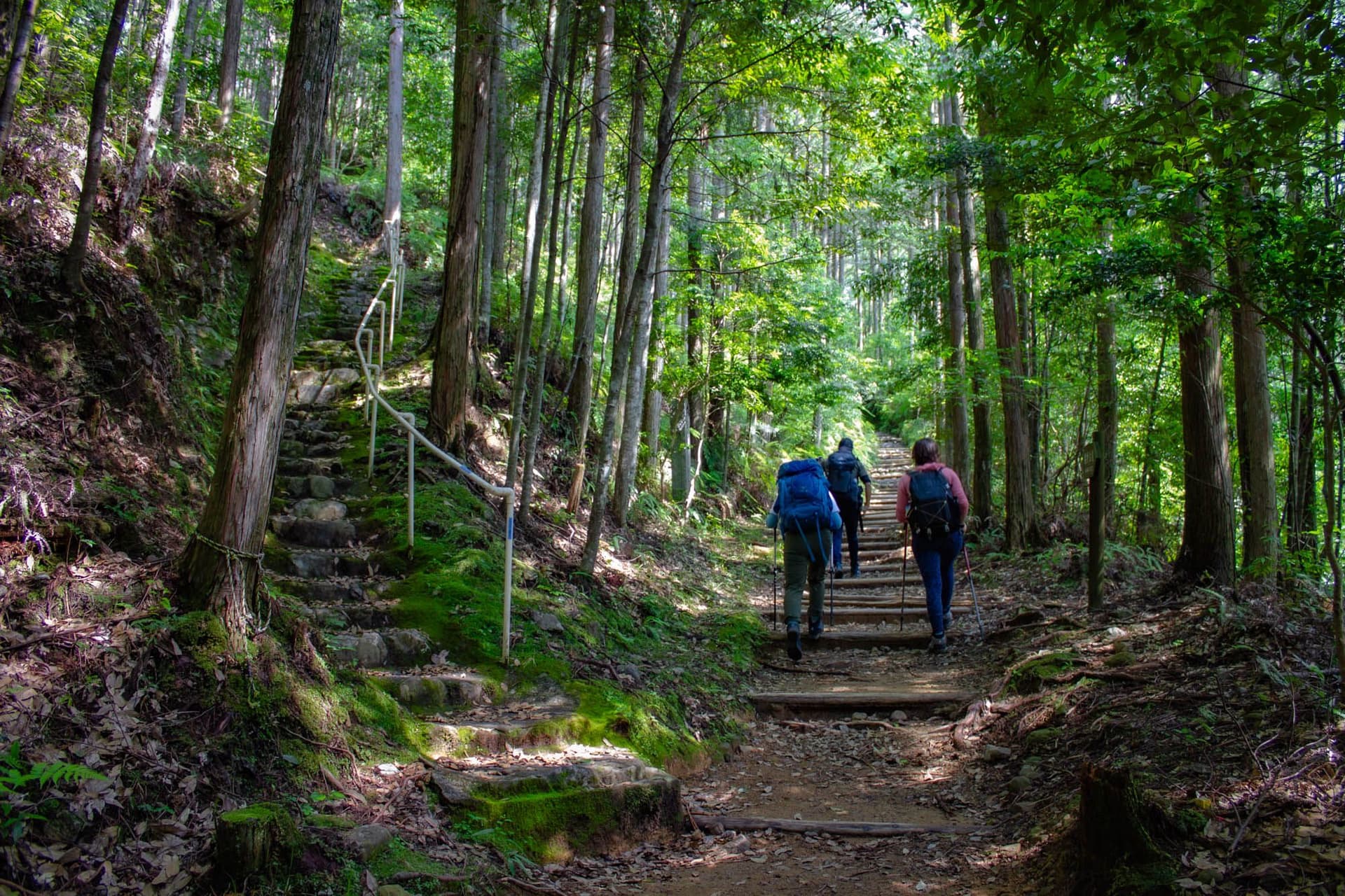 Nakasendo Trail Hiking and Walking Tour