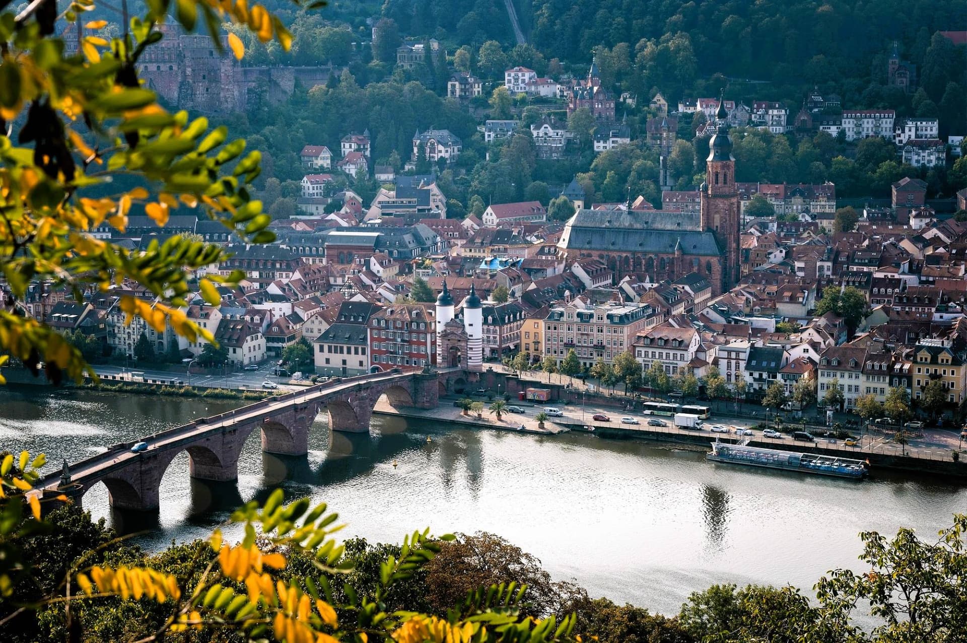Fairytale Towns and Wine Culture