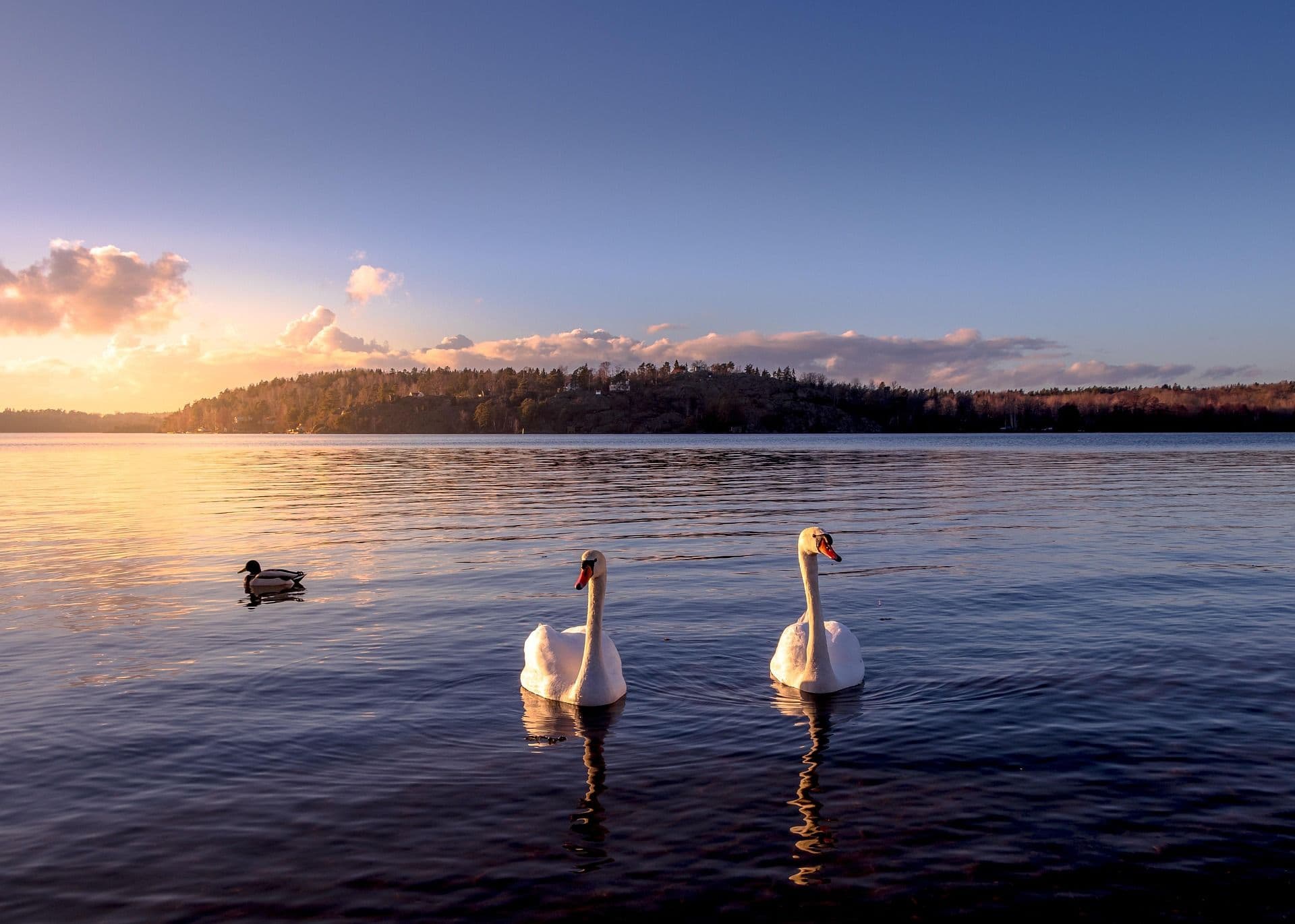 Sweden's Coastal Beauty