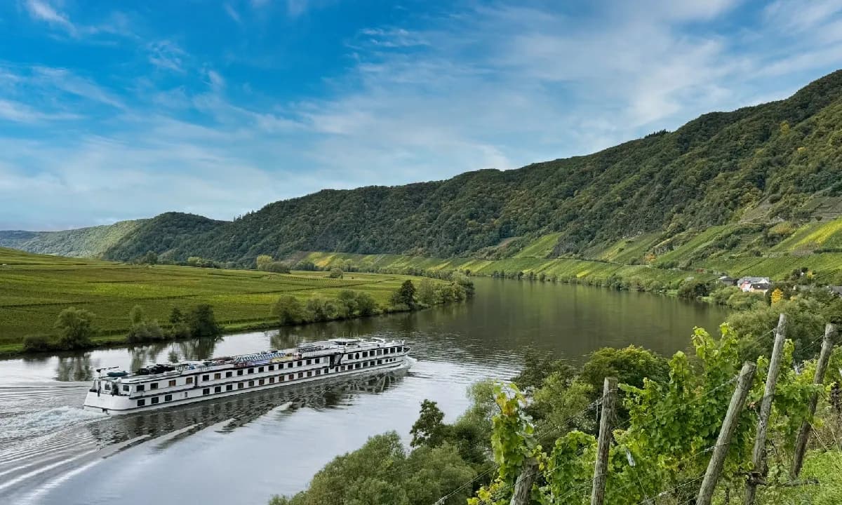 Easy Cycling Along the Rhine