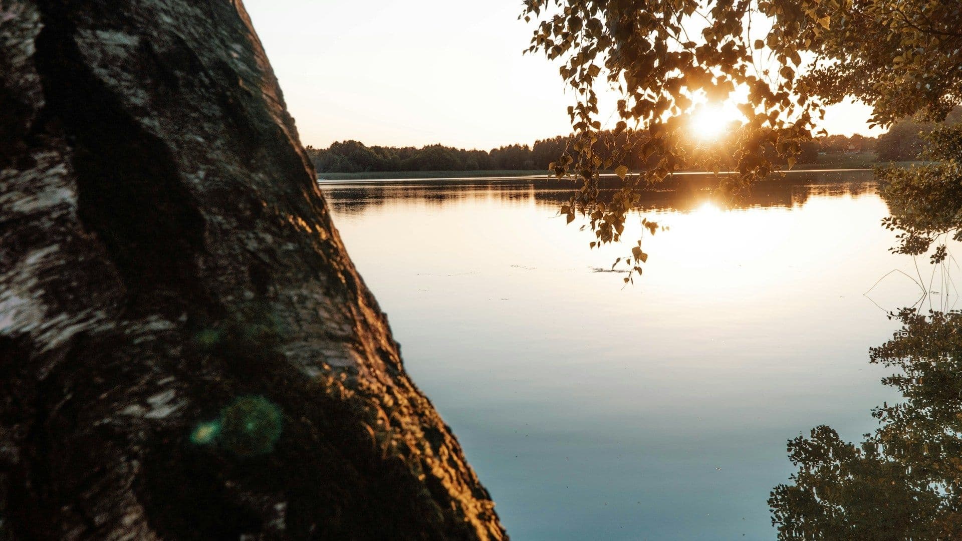 Scenic Cycling in the Land of a Thousand Lakes