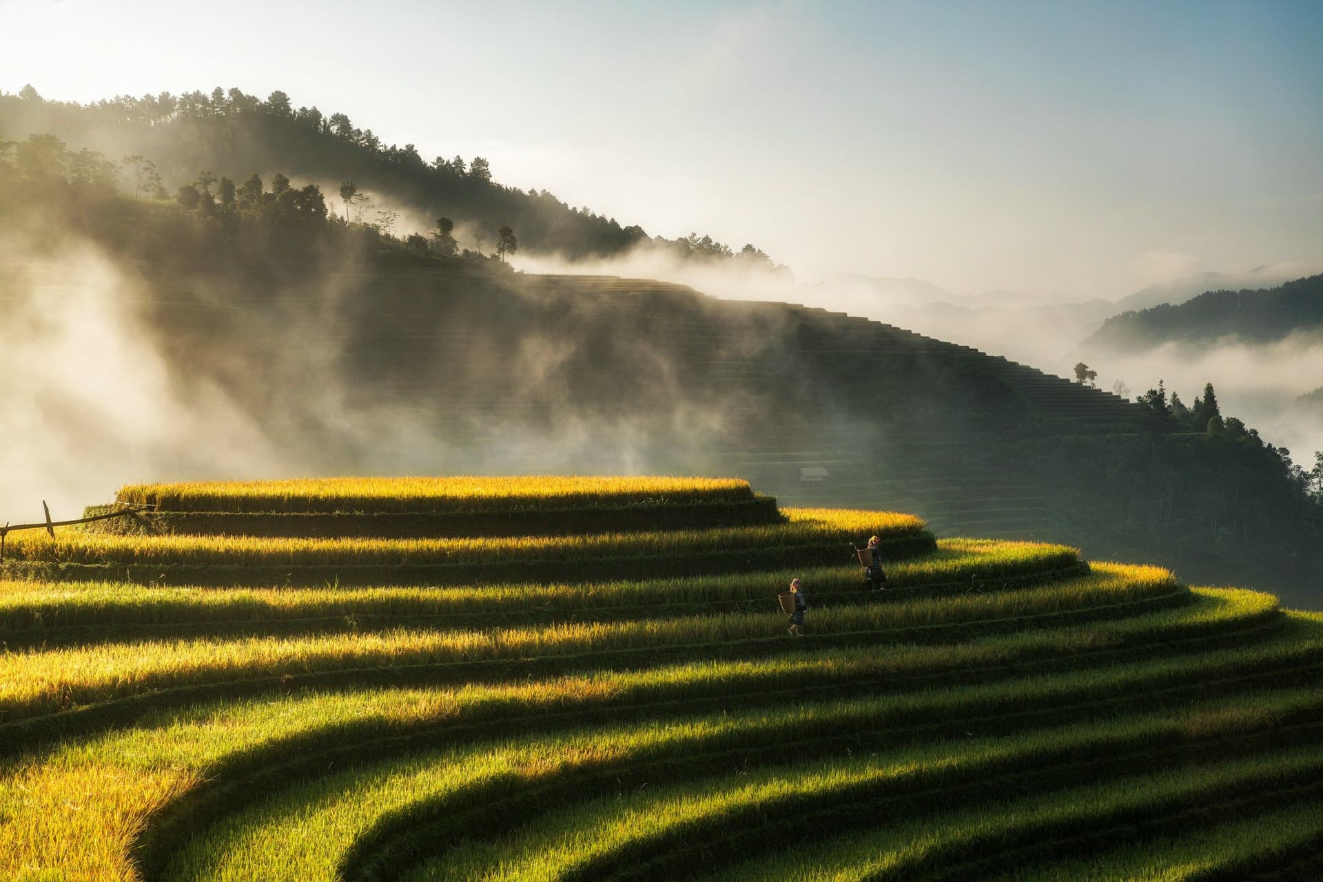 Sapa's misty mountains