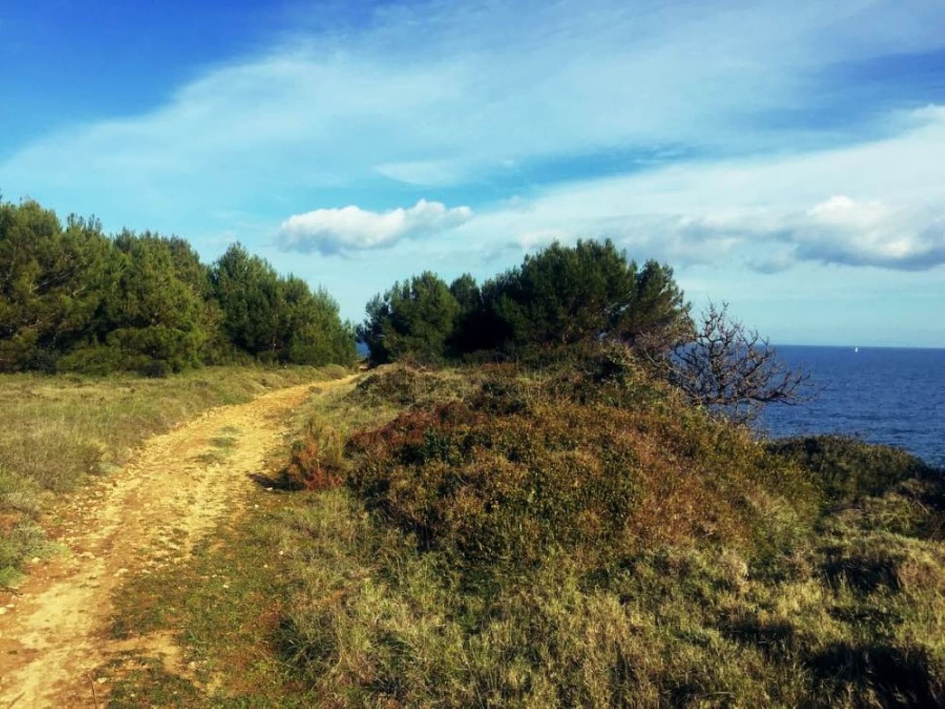 Regional Natural Park Dune Costiere