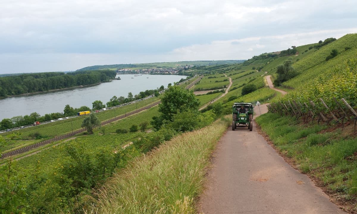Stuttgart to Frankfurt Three Rivers Bike and Barge Tour 
