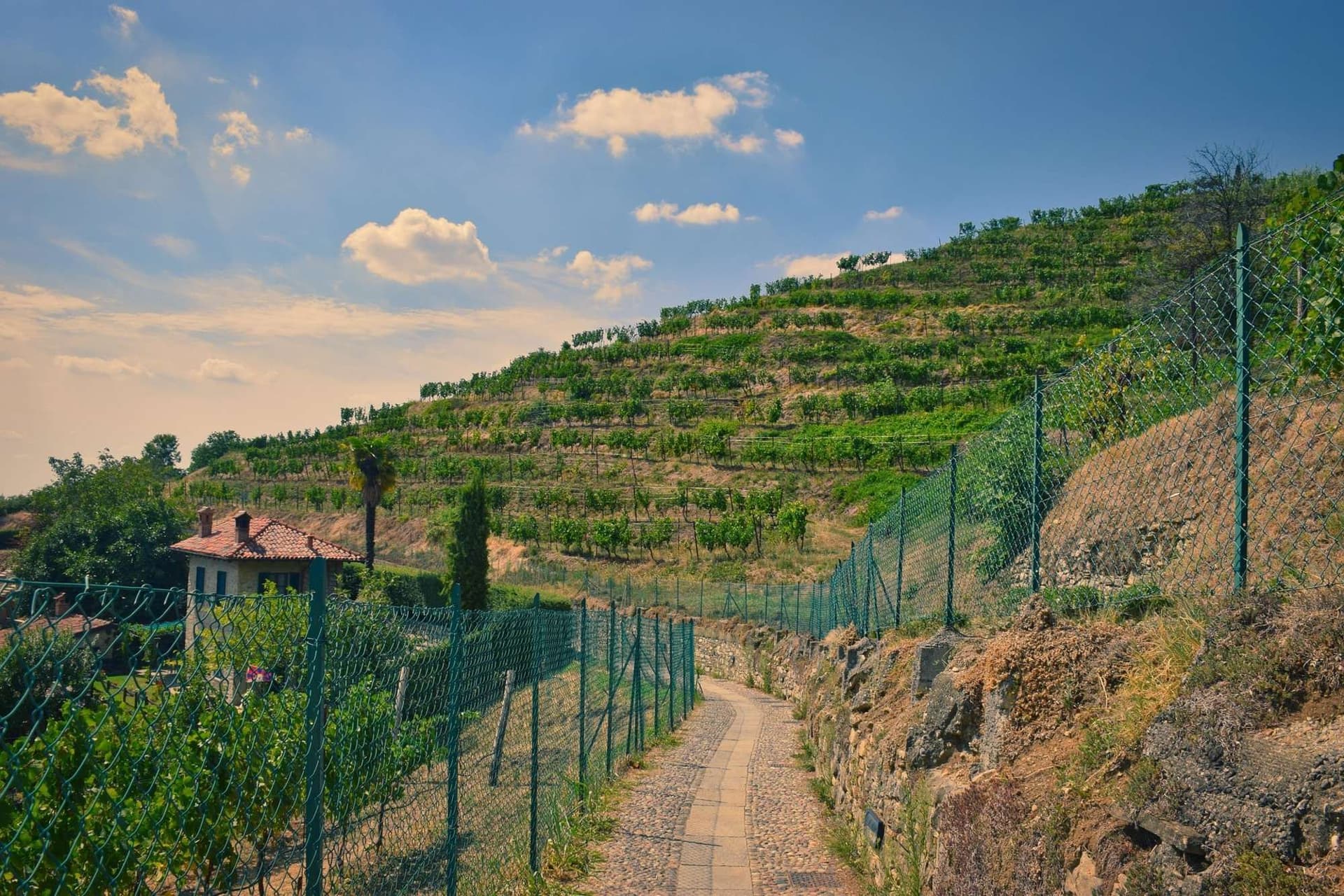 Authentic Lombardy Landscapes