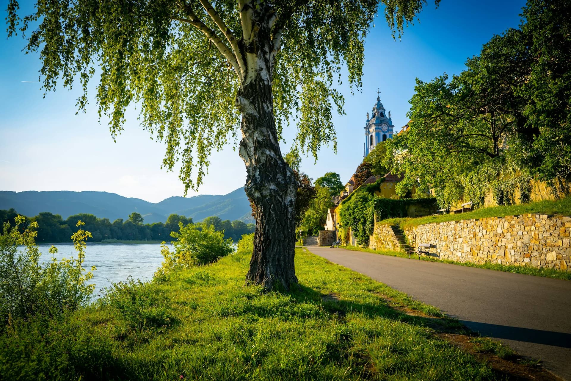 Passau to Vienna Beer and Wine Danube Cycle Path Bike Tour
