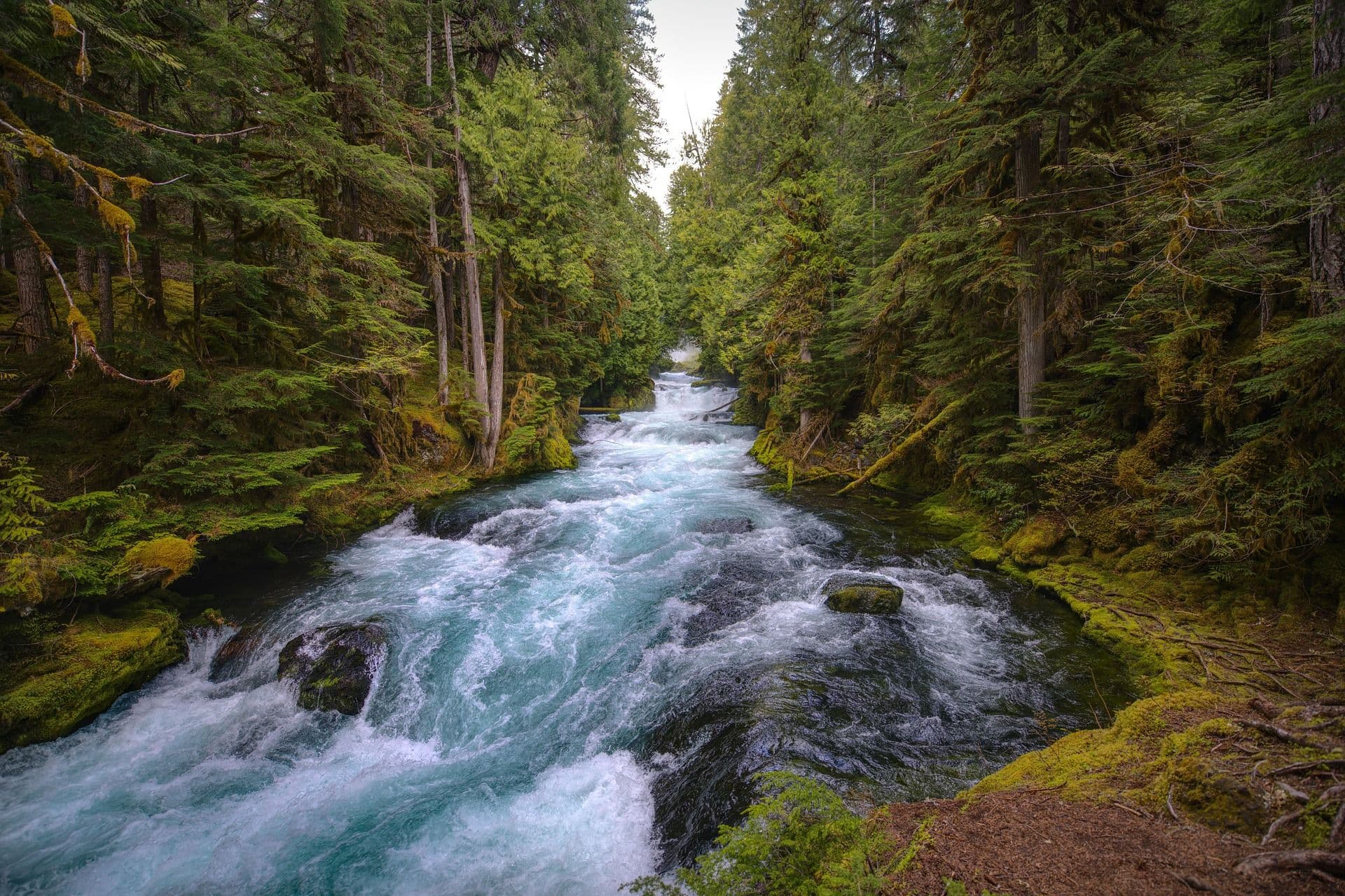 Picture for The Complete Guide to Cycling Oregon article