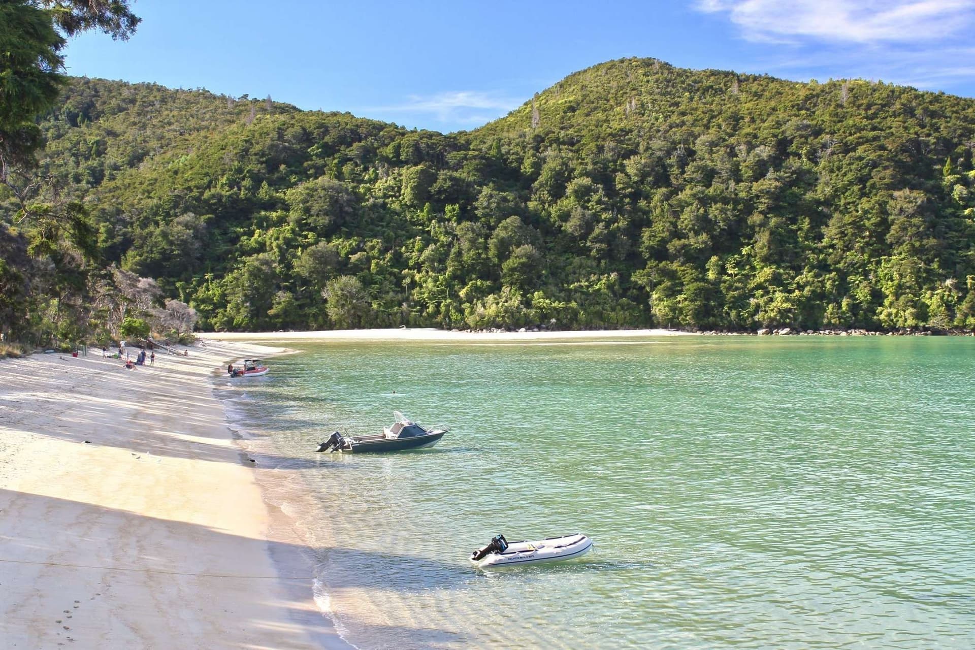 Abel Tasman National Park Adventure