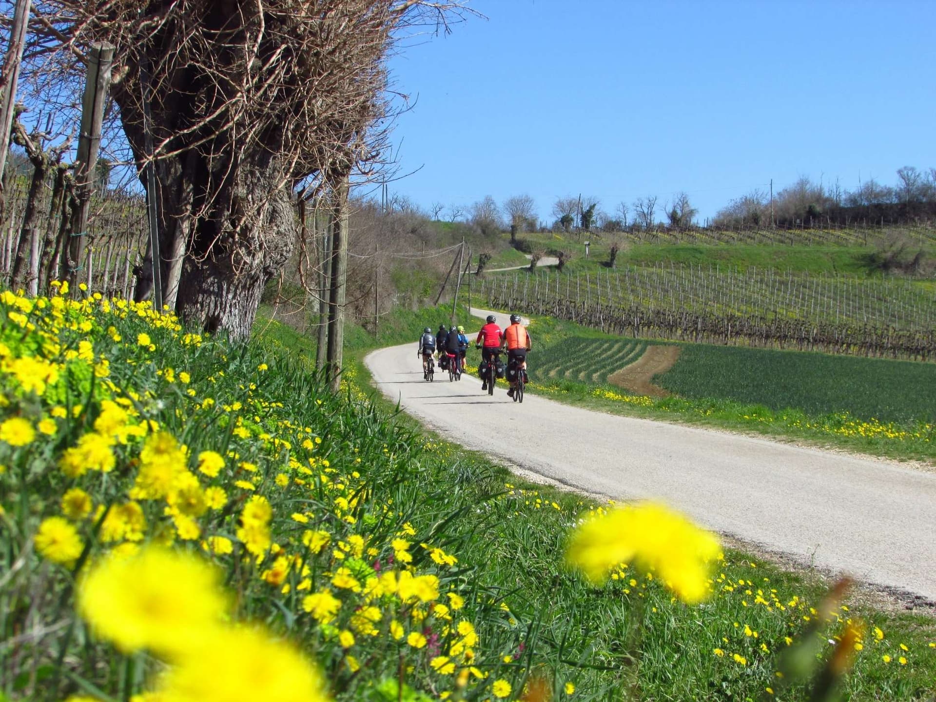 Ride through the Adige Valley