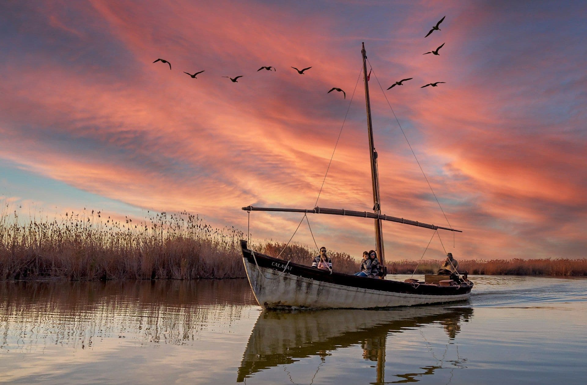 Valencia Culture & Albufera