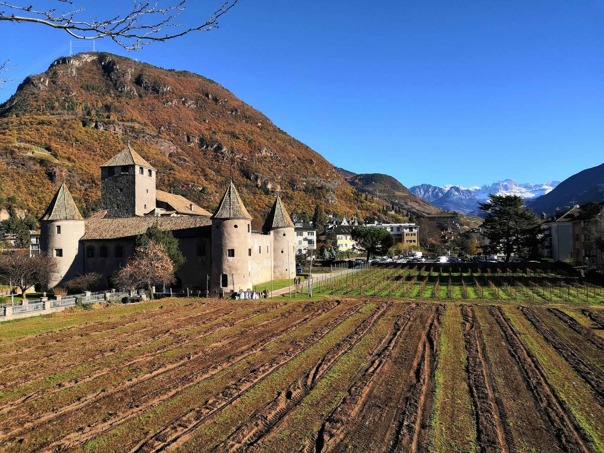 Explore Bolzano and its alpine charm