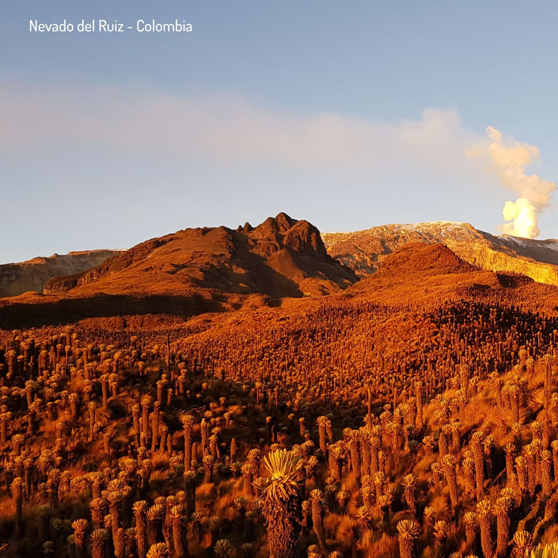 Conquer Los Nevados National Park