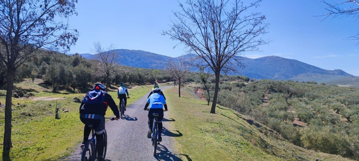 Ride the Vía Verde del Aceite