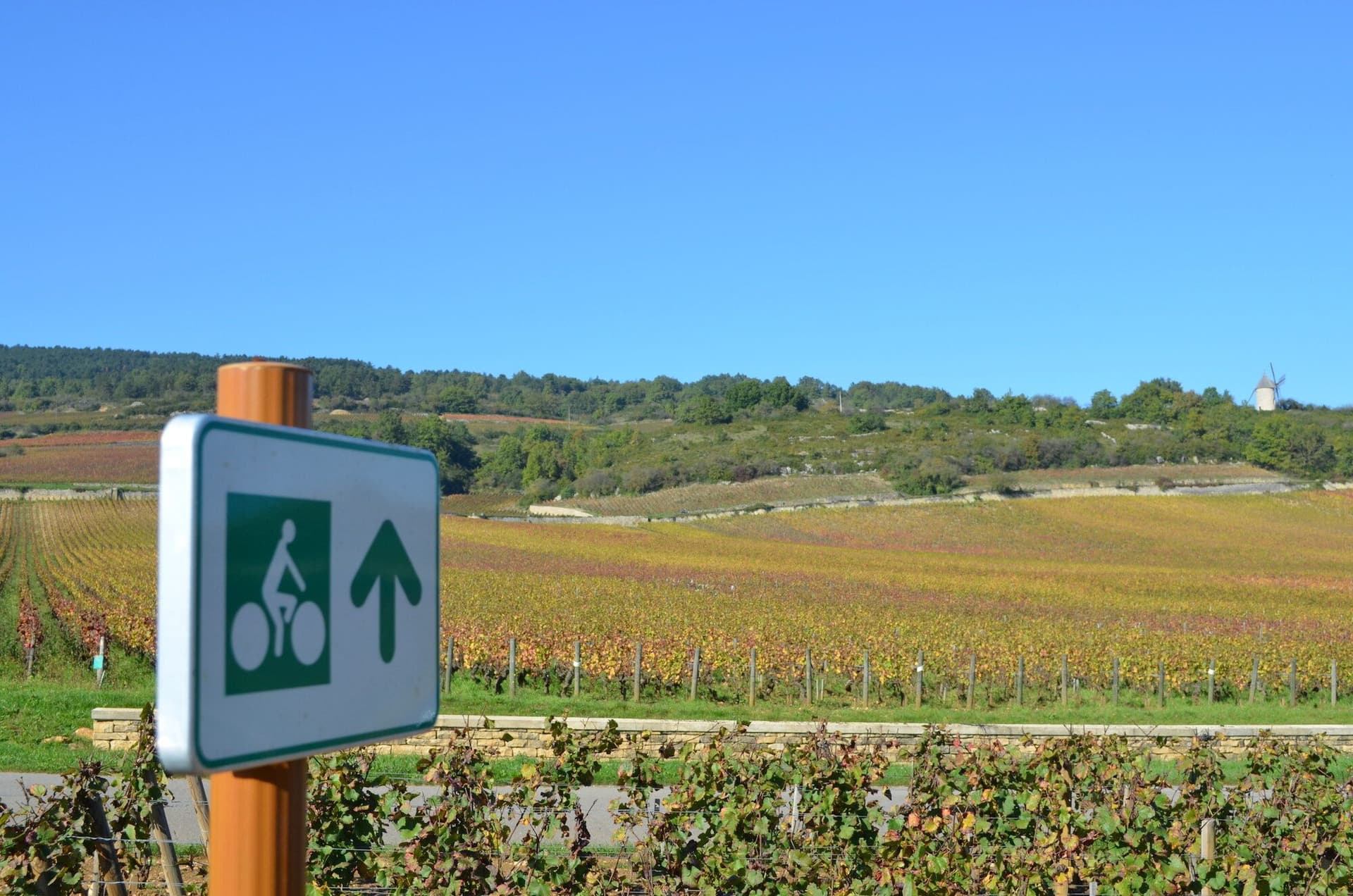 Cluny Abbey & Val Lamartinien Greenway