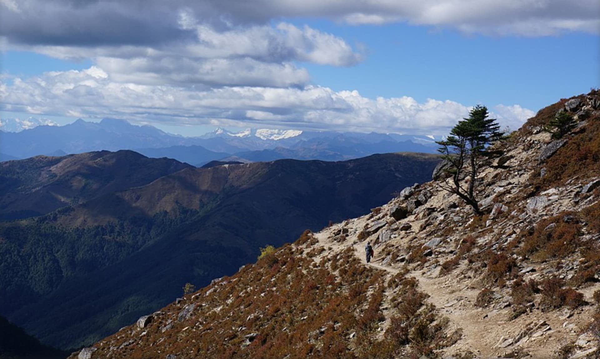 Trek the Druk Path
