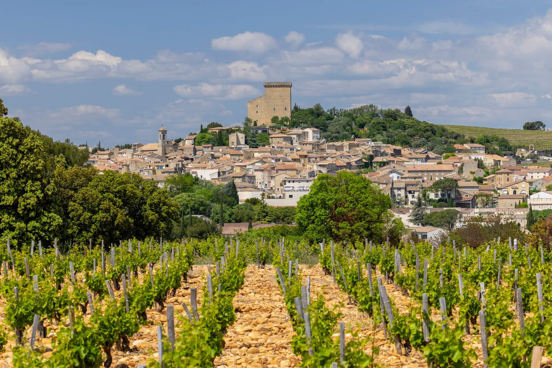The Vineyards of Châteauneuf-du-Pape