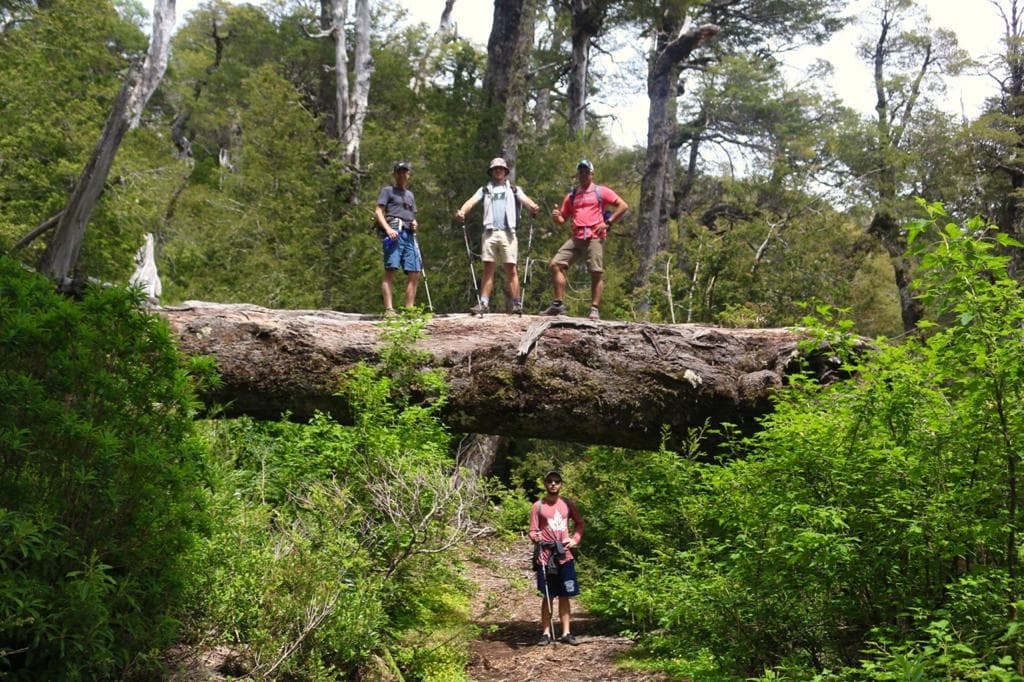 Trek through Darwin’s Trail