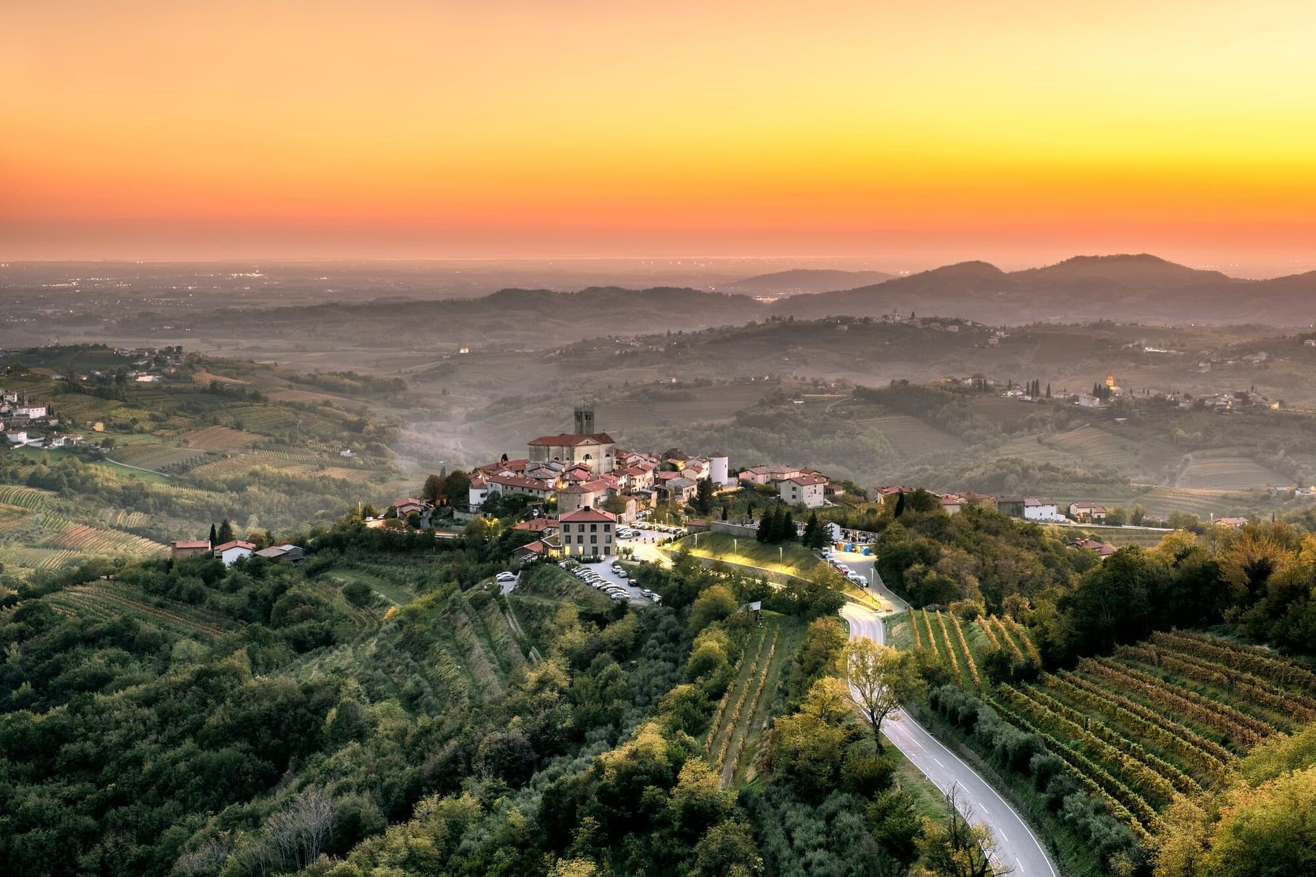 Wine Tasting in Goriška Brda
