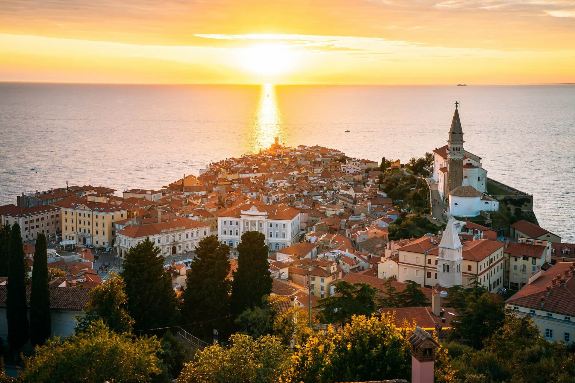 Boutique bike tours in Istria