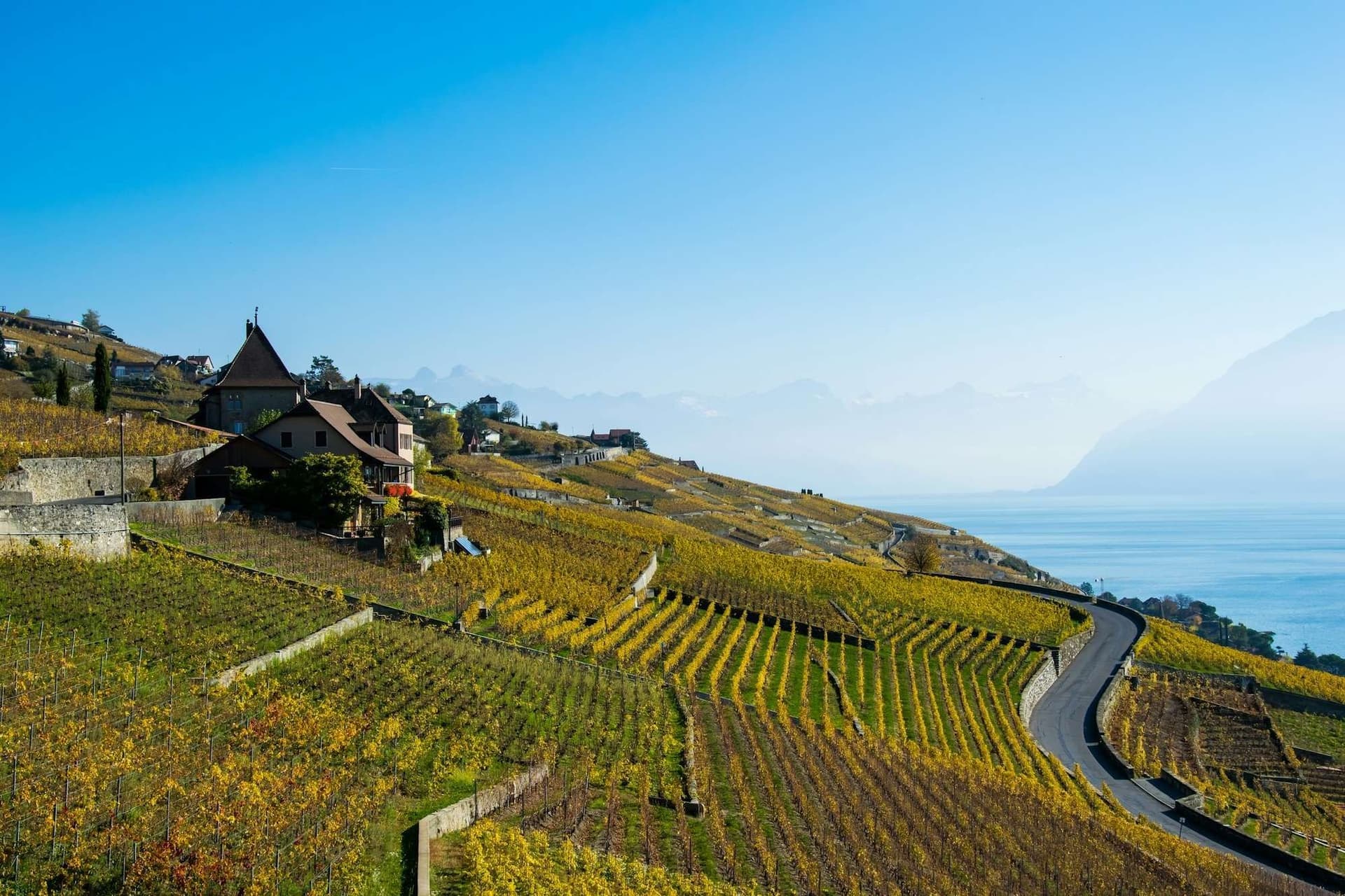 Lavaux Vineyards
