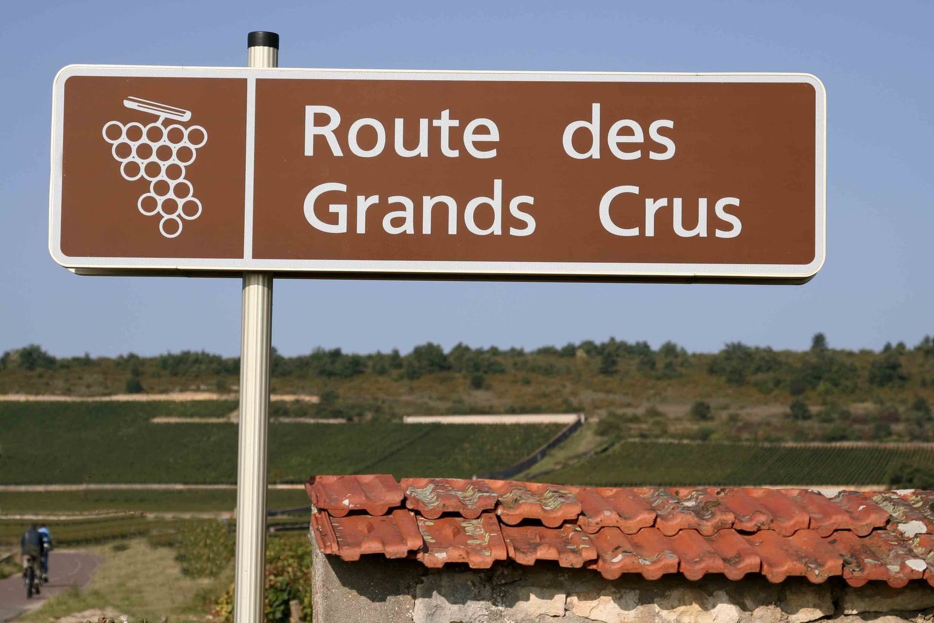 Route des Grands Crus Exploration