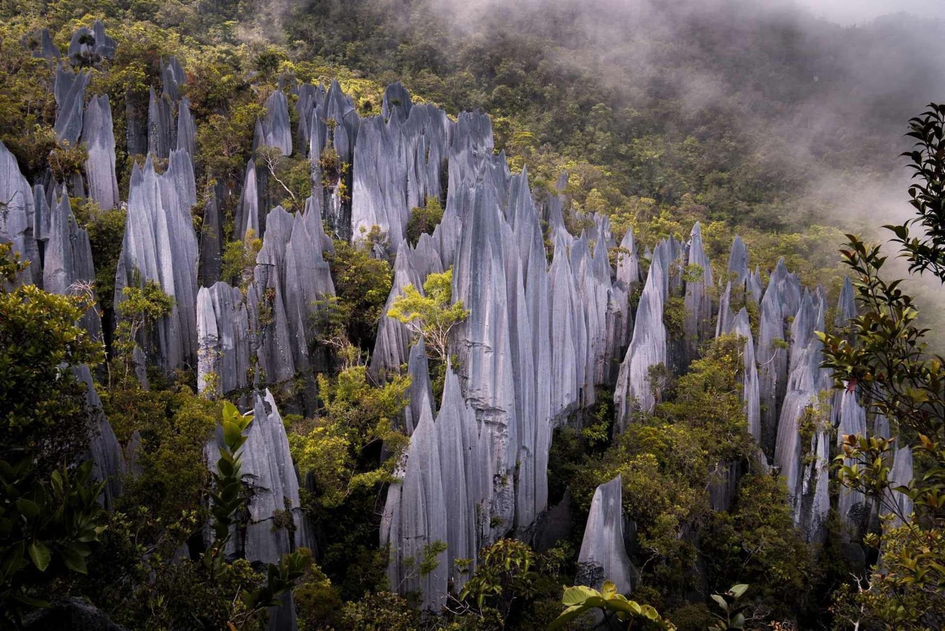 Rainforest and Cave Adventures