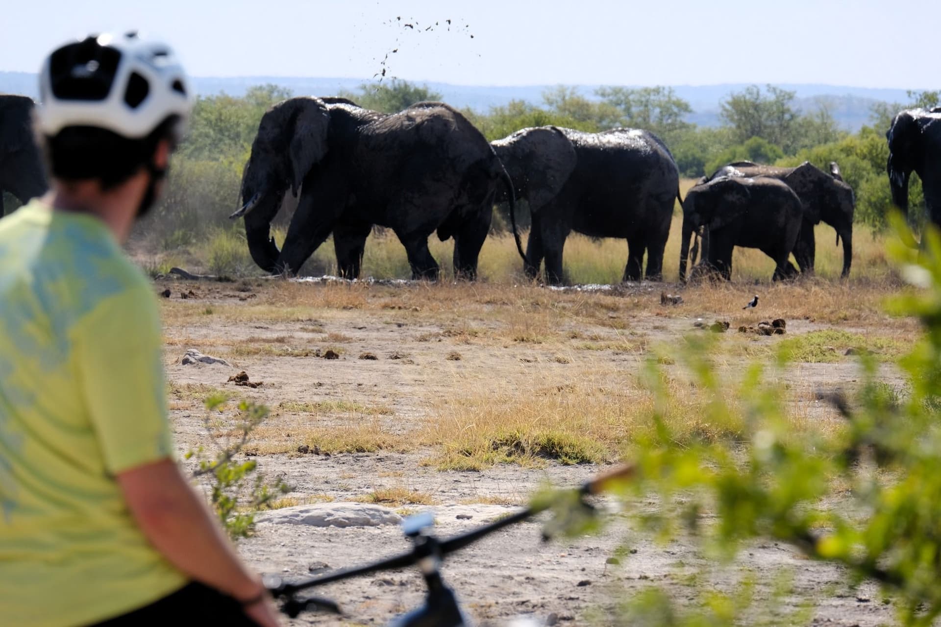Ride Through the Land of Giants