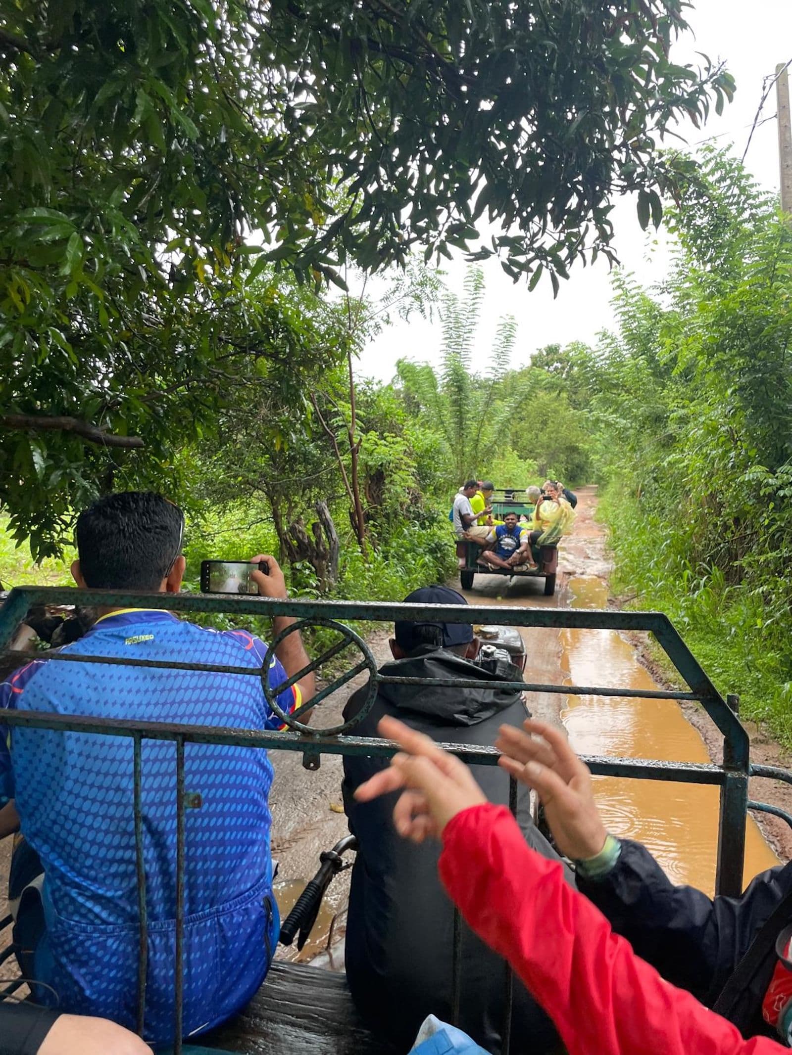 Wildlife Safari in Udawalawe National Park