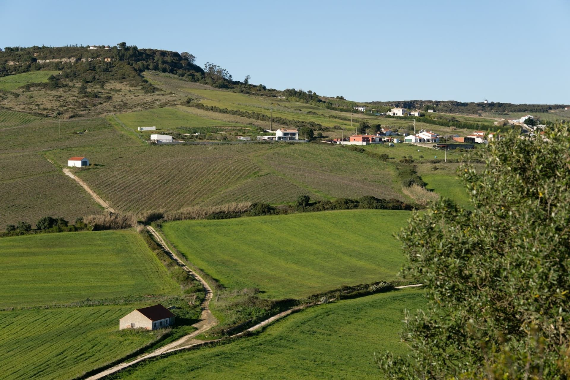 Diverse Landscapes and Terrain
