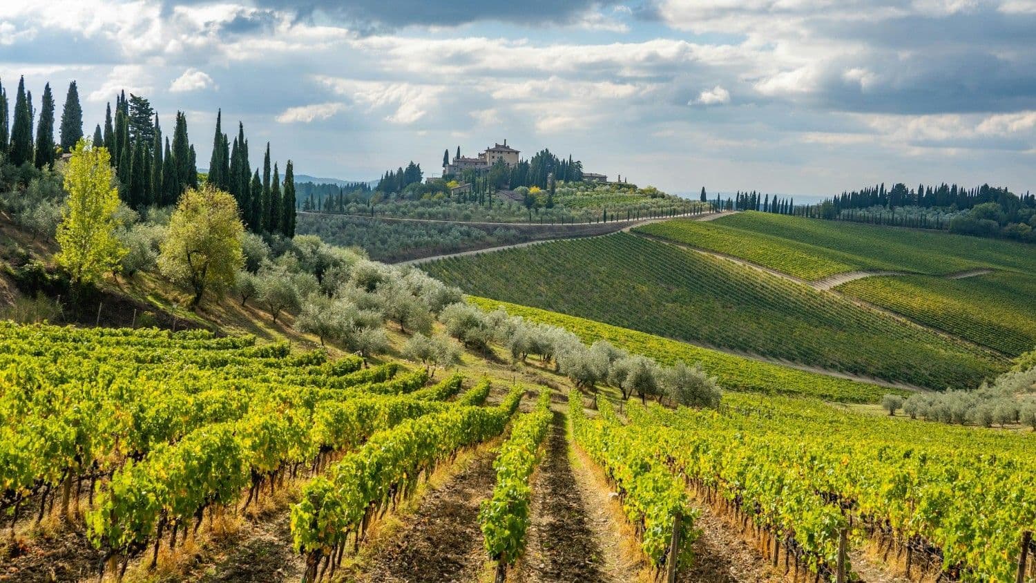 Picture for The Complete Guide To Cycling Tuscany article