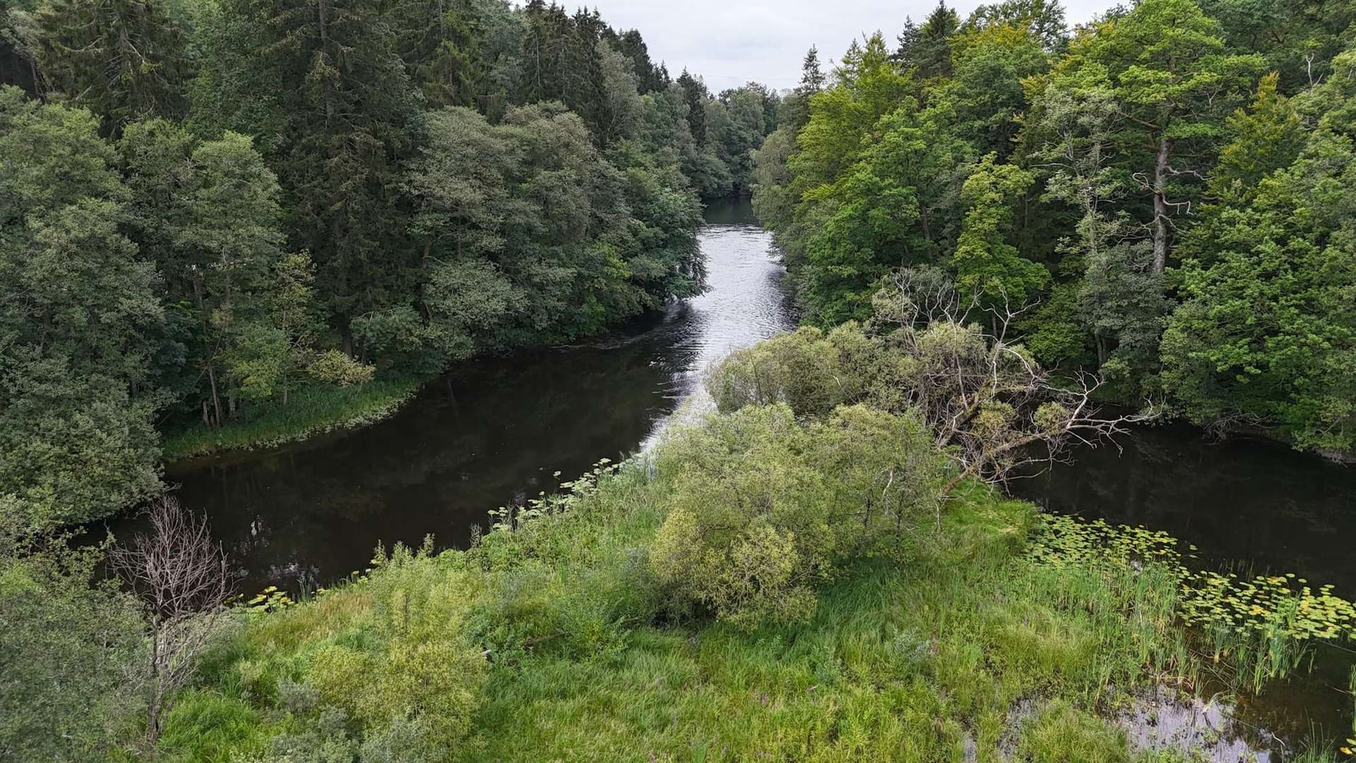 Säveån Nature Reserve