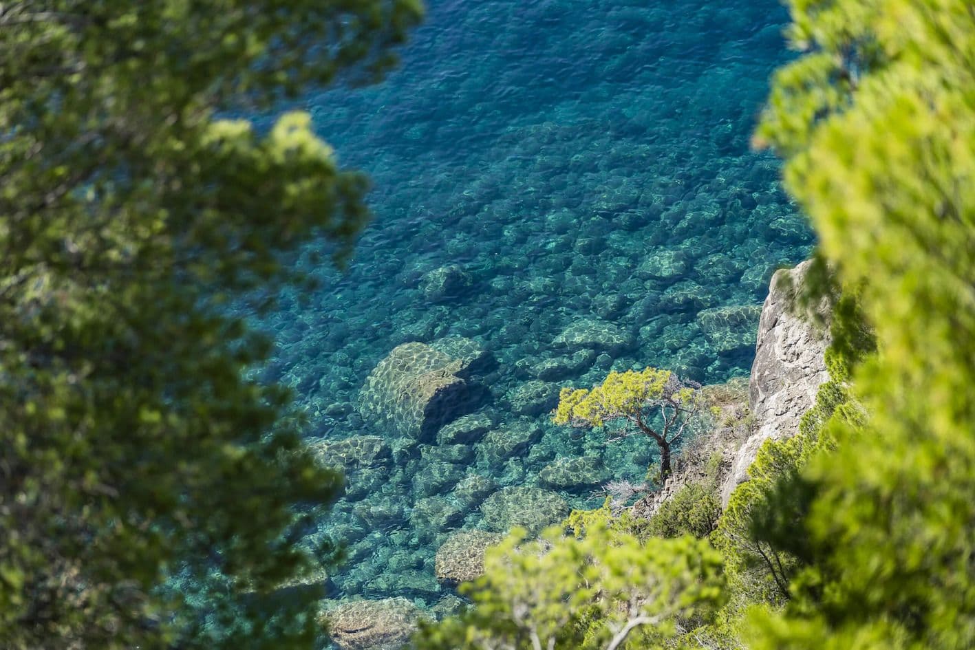 Coastal Riding with Sea Views