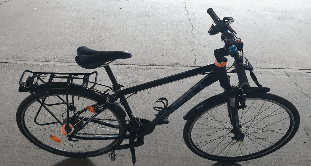 Pells Crono Pro (3x9 speed)